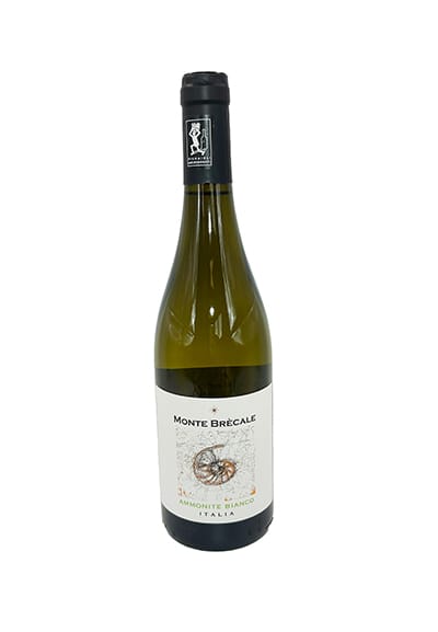 ammonite bianco_no livelli_finale_mobile