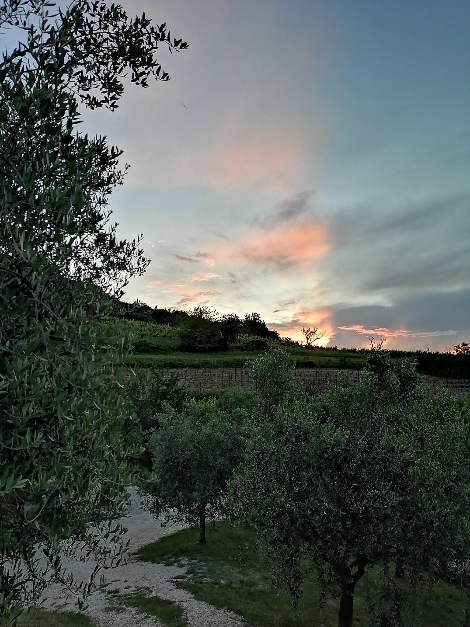 il-territorio